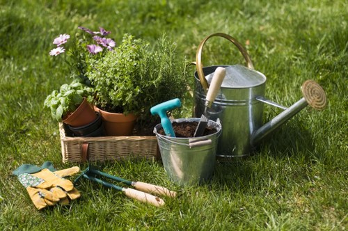 Gardening tools, a watering can, and potted plants on a green lawn.