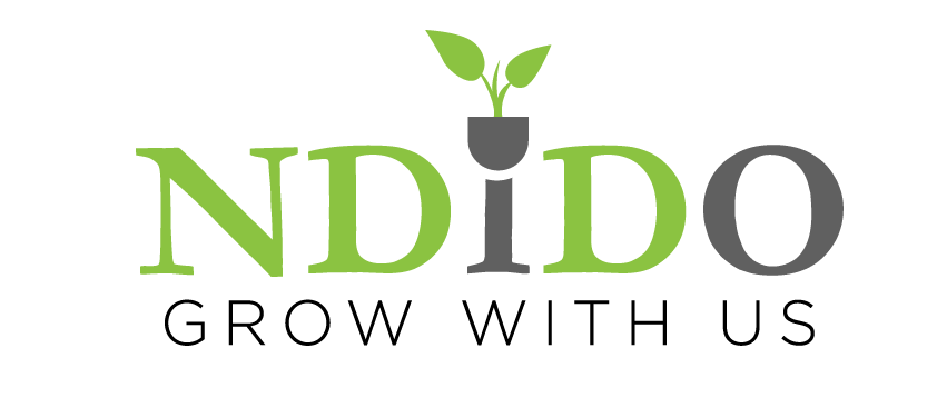 Ndido Company Logo